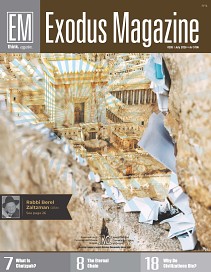 Issue 285