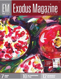 Issue 287