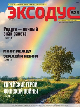 Issue 529