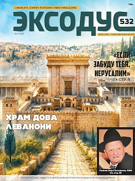 Issue 532