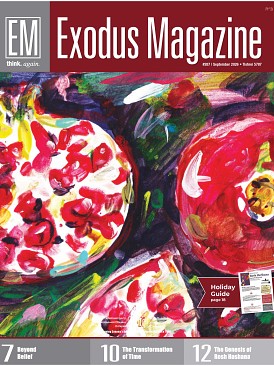 Issue 287